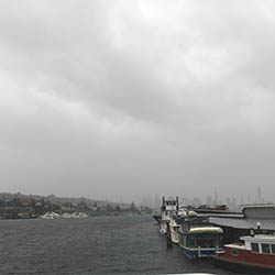 stormy-250×250 stormy-250×250