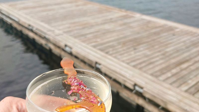 a person holding a cup of water