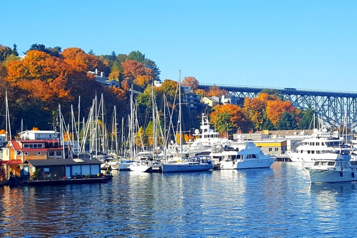 Harbor scene with boats, water, autumn trees, houses, and a bridge on a sunny day.
