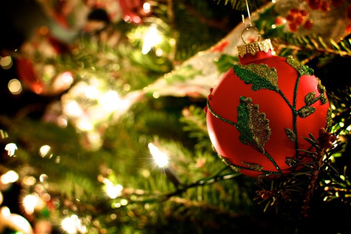 Red ornament with green leaves on decorated Christmas tree.