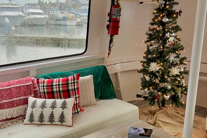 a living room with a christmas tree