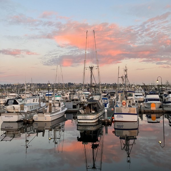 a small boat in a harbor